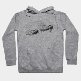 Cicadas Ink Drawing Hoodie